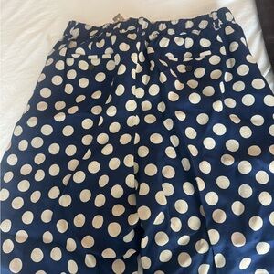 J. Crew Blue Pants with White Dots